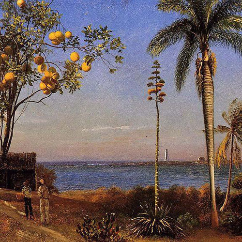 A View in the Bahamas - Albert Bierstadt